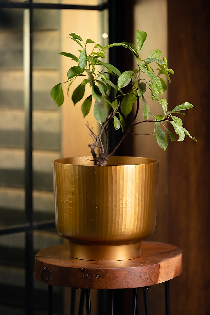 Golden Fluted Planter by SG Home