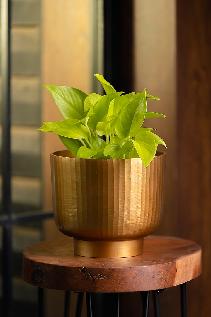 Golden Fluted Planter by SG Home at Pernia's Pop Up Shop