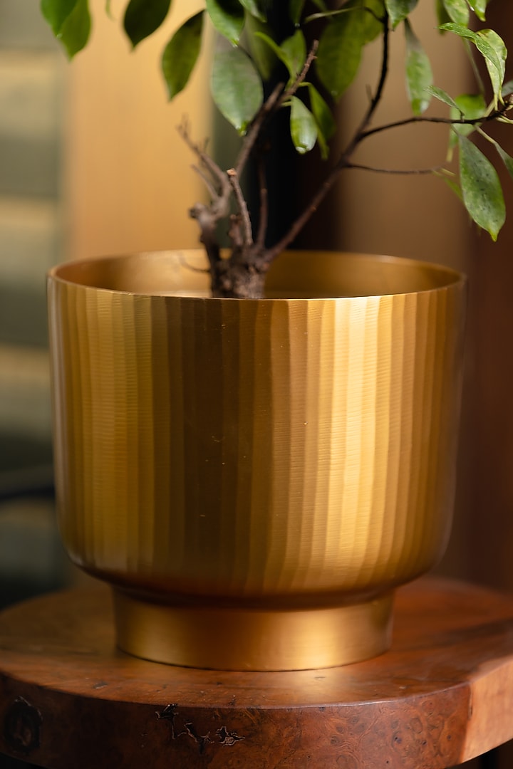 Golden Fluted Planter by SG Home at Pernia's Pop Up Shop
