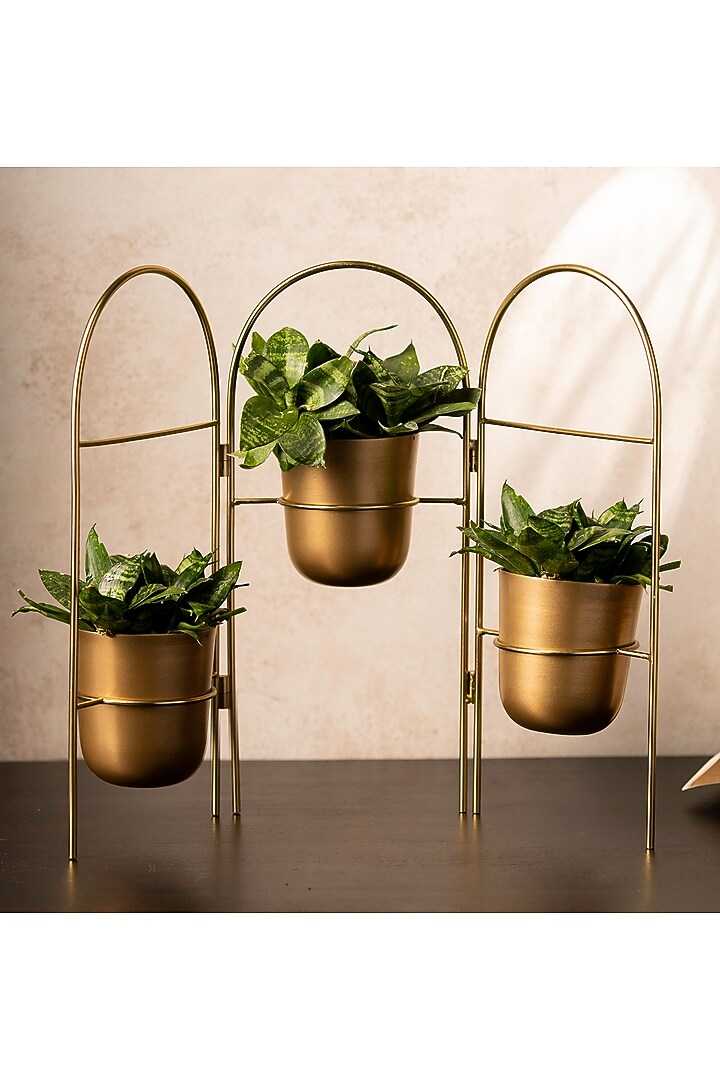 Golden Metal Handcrafted Planter Set by SG Home at Pernia's Pop Up Shop