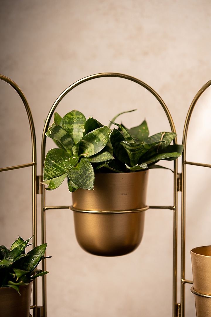 Golden Metal Handcrafted Planter Set by SG Home at Pernia's Pop Up Shop