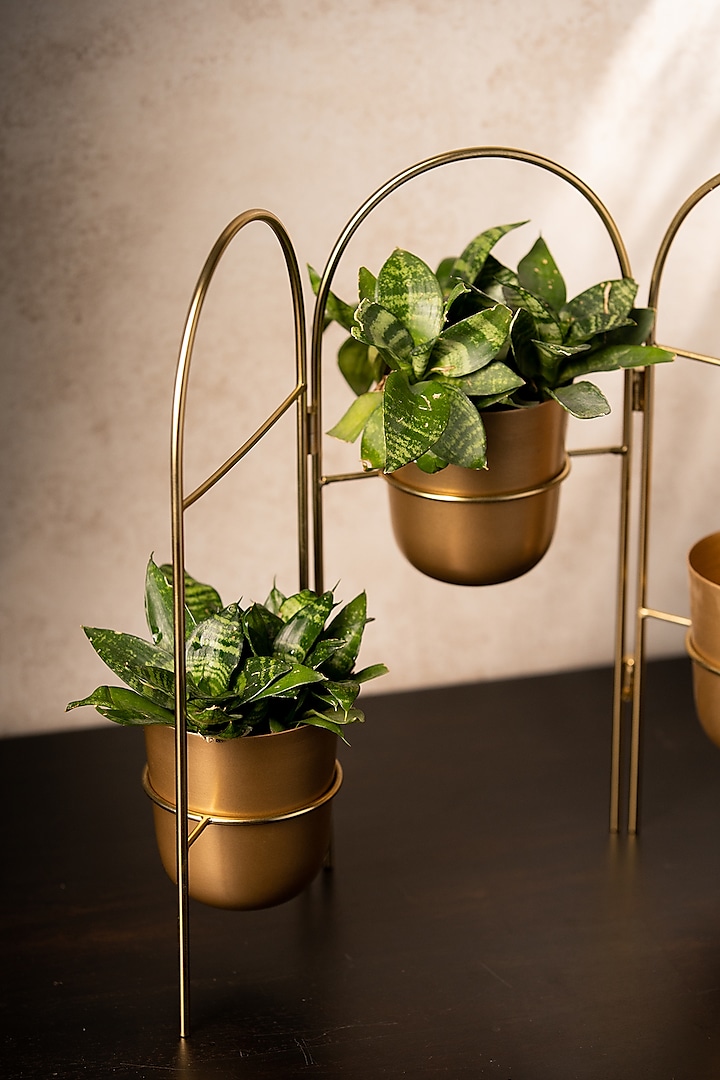 Golden Metal Handcrafted Planter Set by SG Home at Pernia's Pop Up Shop