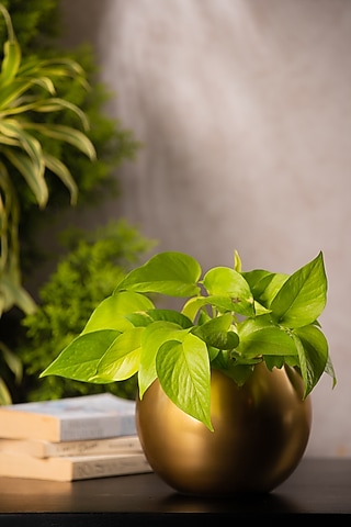 Gold Globe Metal Planter by SG Home