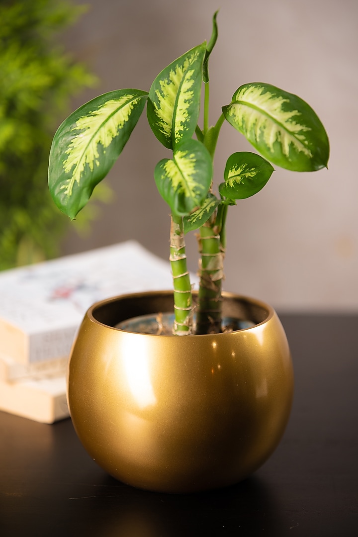 Gold Globe Metal Planter by SG Home at Pernia's Pop Up Shop