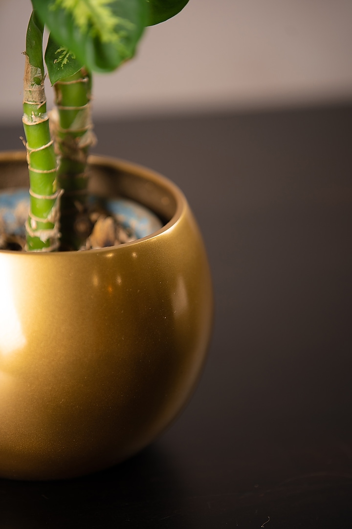 Gold Globe Metal Planter by SG Home at Pernia's Pop Up Shop