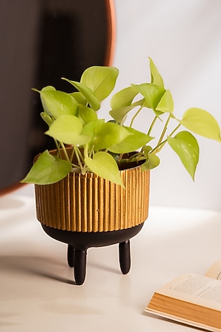 Golden Metal Ribbed Robo Planter by SG Home