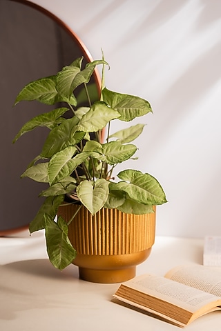 Golden Metal Ribbed Planter by SG Home