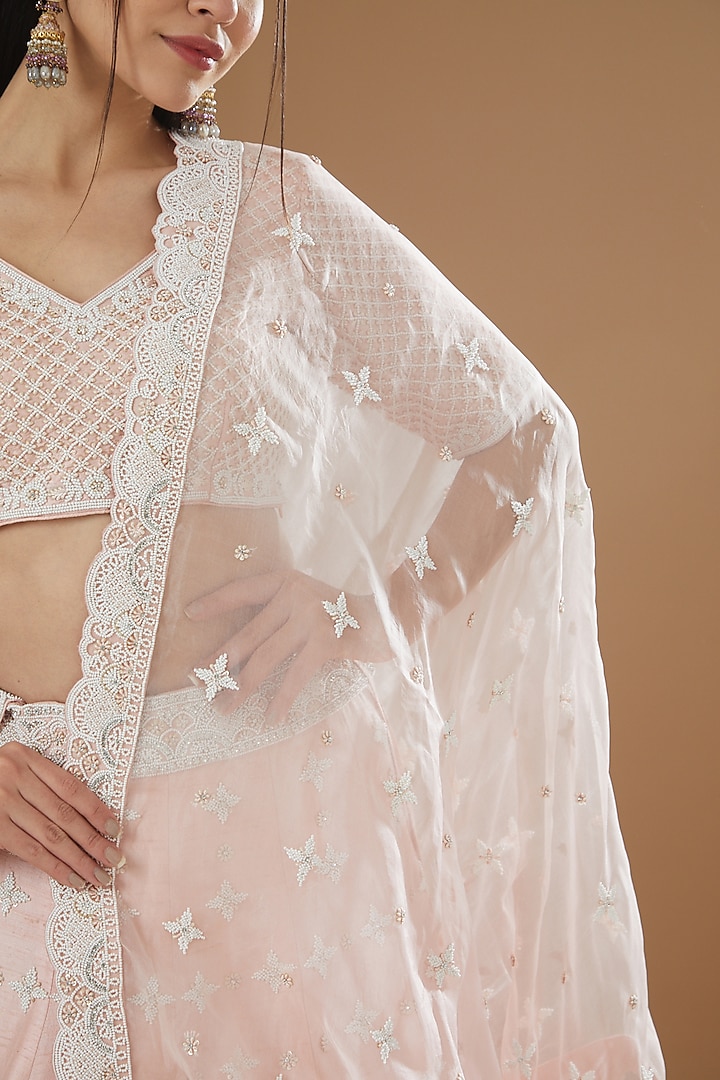 Blush Pink Pure Raw Silk Embroidered Bridal Lehenga Set by Sheetal Batra at Pernia's Pop Up Shop