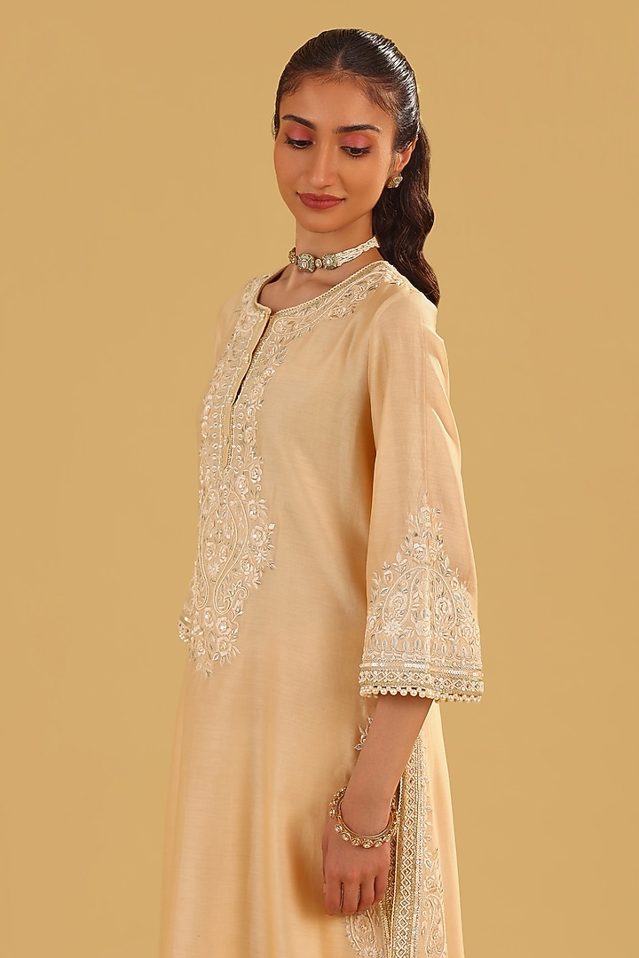 Beige Silk Chanderi Parsi Gara Embroidered A-Line Kurta Set by Sheetal Batra at Pernia's Pop Up Shop
