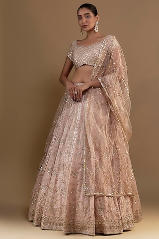 Rani Pink Embroidered Lehenga Set Design by Aneesh Agarwaal at Pernia's Pop  Up Shop 2024