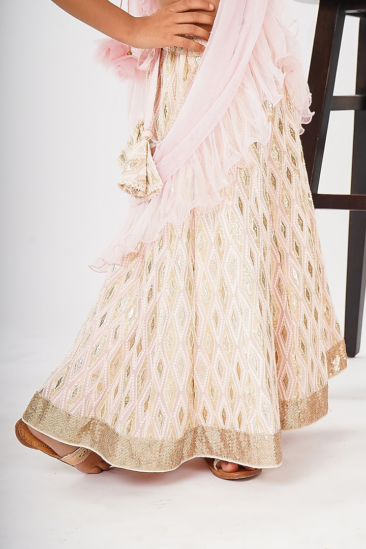 Light Pink Net Embroidered Lehenga Set For Girls by SHRUTI JALAN at Pernia's Pop Up Shop