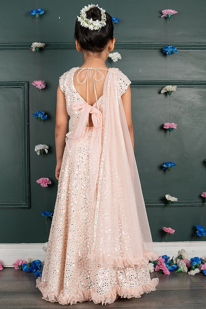 Soft Pink Georgette & Net Embroidered Lehenga Set For Girls by SHRUTI JALAN at Pernia's Pop Up Shop