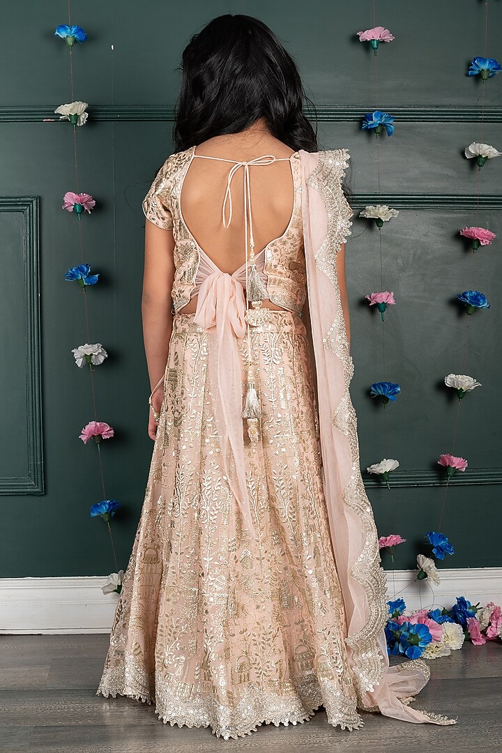 Pale Pink Net Embroidered Lehenga Set For Girls by SHRUTI JALAN at Pernia's Pop Up Shop