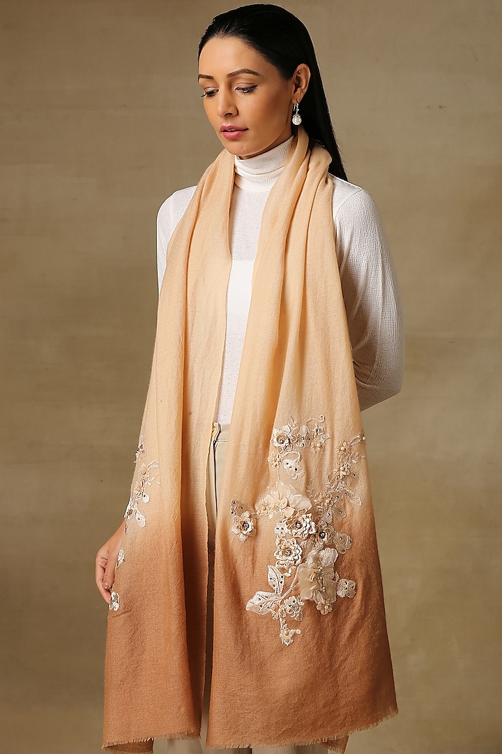 Nude & Brown Handloom Pashmina Embroidered Ombre Stole by Shaza