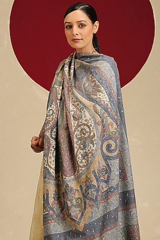 Multi-Colored Handloom Pashmina Kalamkari Hand Painted & Hand Embroidered Shawl by Shaza