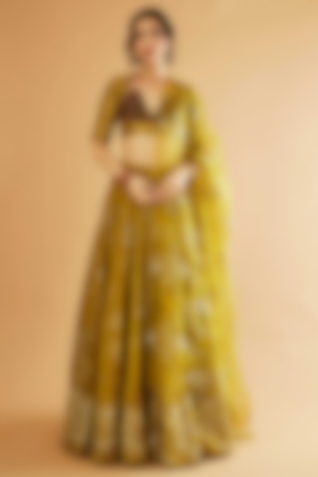 Mehendi Green Pure Silk Jaal Hand Embroidered Bridal Lehenga Set by Sihali Jageer at Pernia's Pop Up Shop