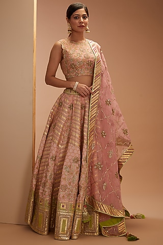 Light Pink Banarasi Chanderi Embroidered Lehenga Set by Simar Dugal