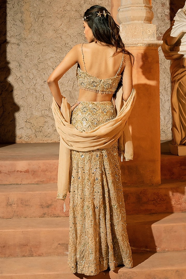 Beige Gold Organza Embroidered Skirt Set by Silky Bindra at Pernia's Pop Up Shop