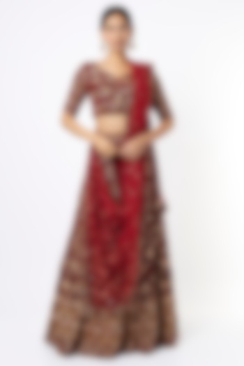Blood-Red Embroidered Lehenga Set by Sneha Parekh