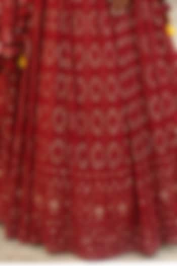 Ruby Red Lucknowi Chikankari Lehenga Set For Girls by Soniya G KIDS