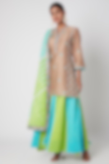 Sky Blue & Mint Green Embroidered Sharara Set by Sunira