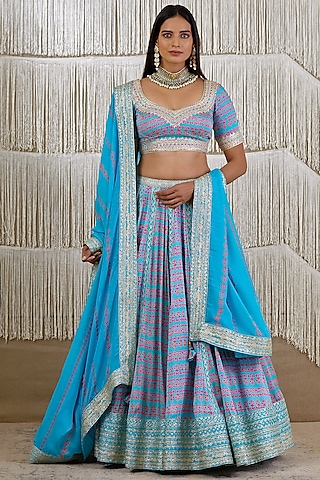 Sky Blue Printed & Embroidered Lehenga Set by Shyam Narayan Prasad