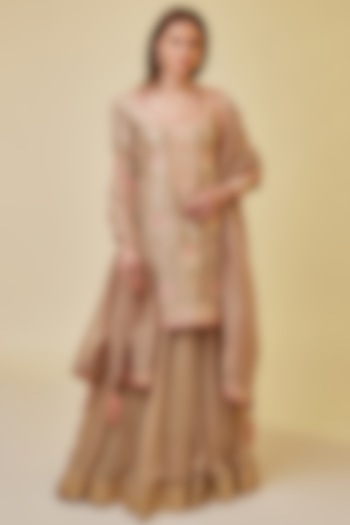 Pebble Neutral Colored Silk Chanderi Embroidered Skirt Set by Shyam Narayan Prasad