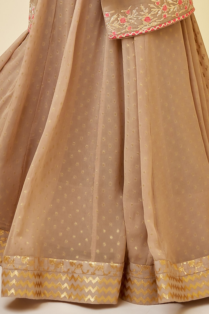Pebble Neutral Colored Silk Chanderi Embroidered Skirt Set by Shyam Narayan Prasad at Pernia's Pop Up Shop