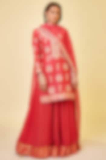 Scarlet Red Silk Chanderi Embroidered Skirt Set by Shyam Narayan Prasad