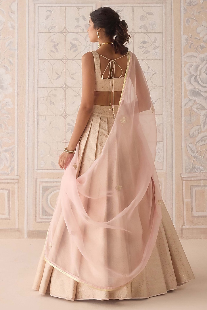 Pearl Pink Brocade Pleated Wedding Lehenga Set by Shyam Narayan Prasad at Pernia's Pop Up Shop