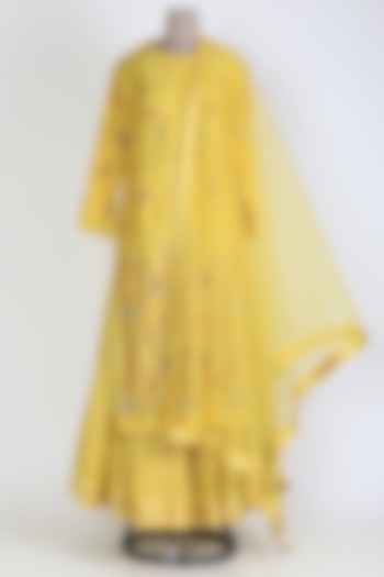 Yellow Embroidered Skirt Set by Shyam Narayan Prasad