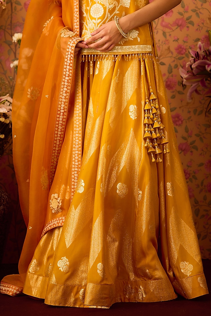 Gold Yellow Silk Brocade Applique & Thread Embroidered Paneled Wedding Lehenga Set by Shyam Narayan Prasad at Pernia's Pop Up Shop