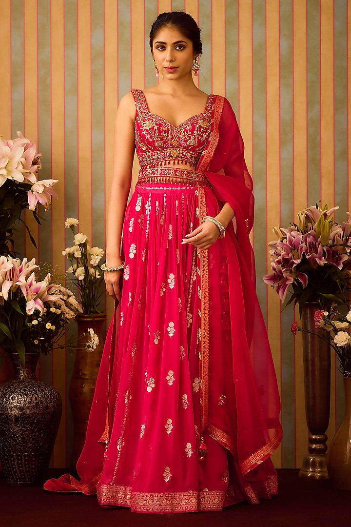 Maroon Red Georgette Zardosi Hand Embroidered Paneled Wedding Lehenga Set by Shyam Narayan Prasad at Pernia's Pop Up Shop