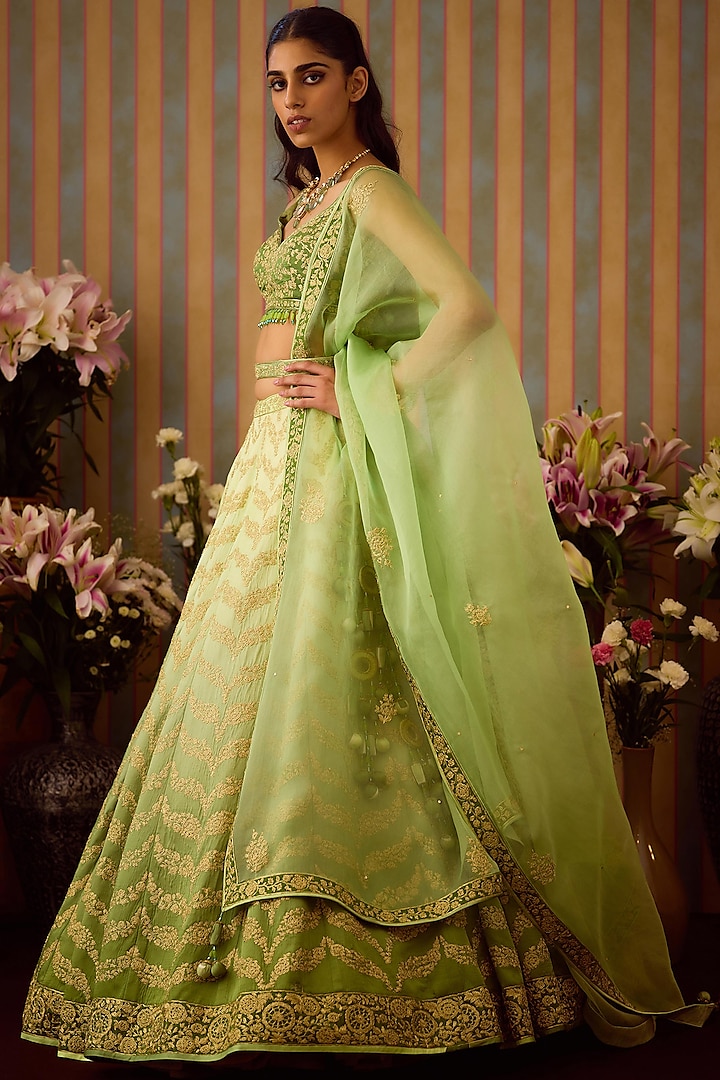 Meadow Green Silk Zari Embroidered Lehenga Set by Shyam Narayan Prasad