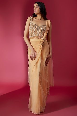 Champagne Gold Swiss Net Pleated Saree Set by Sonaakshi Raaj