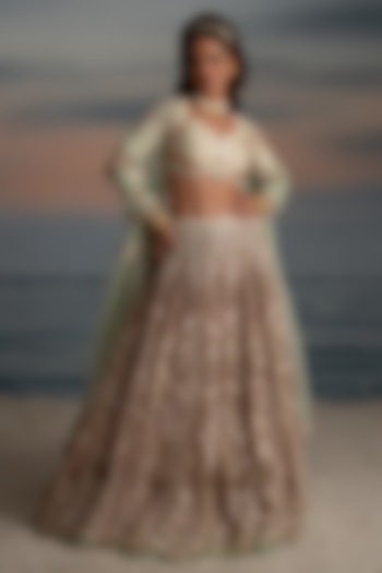 Old Rose Organza Crystal Embroidered Bridal Lehenga Set by Shashank Arya at Pernia's Pop Up Shop