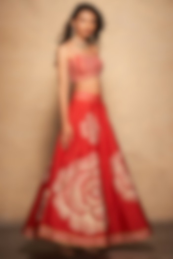 Red Pure Chanderi Silk Embroidered Skirt by Gulabo By Abu Sandeep