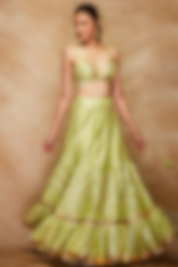 Pista Green Chanderi Silk Skirt by Gulabo By Abu Sandeep
