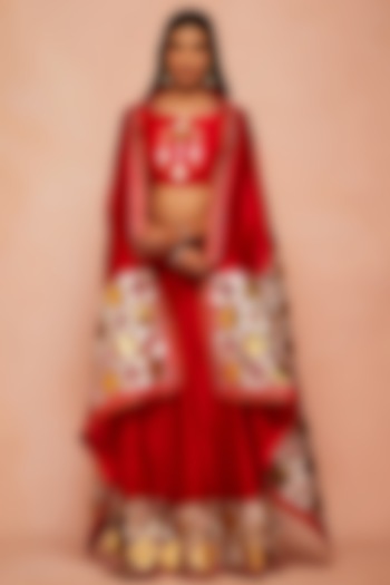 Red Embroidered Flared Skirt by Gulabo By Abu Sandeep