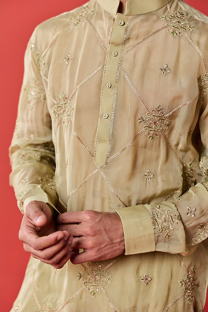 Green Organza & Organza Tissue Stripe Embroidered Kurta Set by Studio Bagechaa Men at Pernia's Pop Up Shop