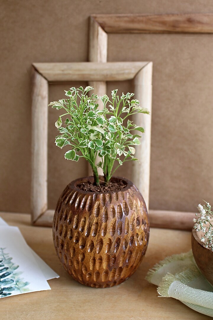 Brown Acacia Wood Planter by Studio Indigene at Pernia's Pop Up Shop