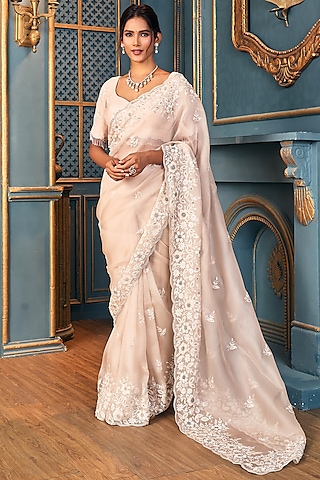 Beige Organza Saree Set by Stotram