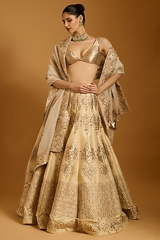 Beige Taffeta Applique Embroidered Lehenga Set by Siddartha Tytler