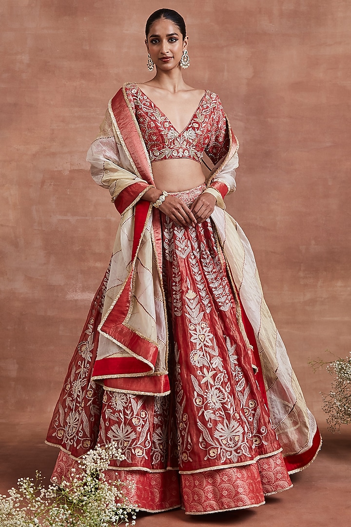 Red Handwoven Silk Tissue Aari Embroidered Kalidar Bridal Lehenga Set by Sue Mue at Pernia's Pop Up Shop