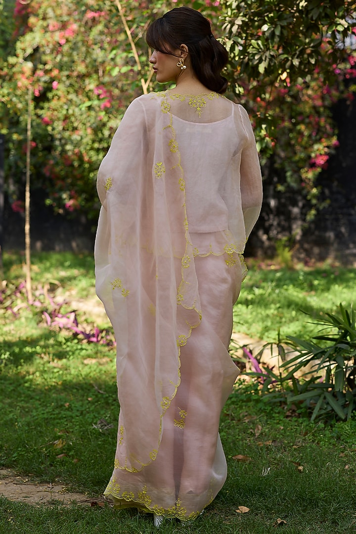 Salmon Pink & Lime Handwoven Organza Silk Hand Embroidered Party Wear Saree by Surmaye at Pernia's Pop Up Shop