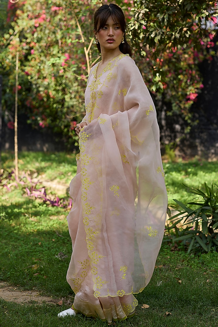 Salmon Pink & Lime Handwoven Organza Silk Hand Embroidered Party Wear Saree by Surmaye at Pernia's Pop Up Shop