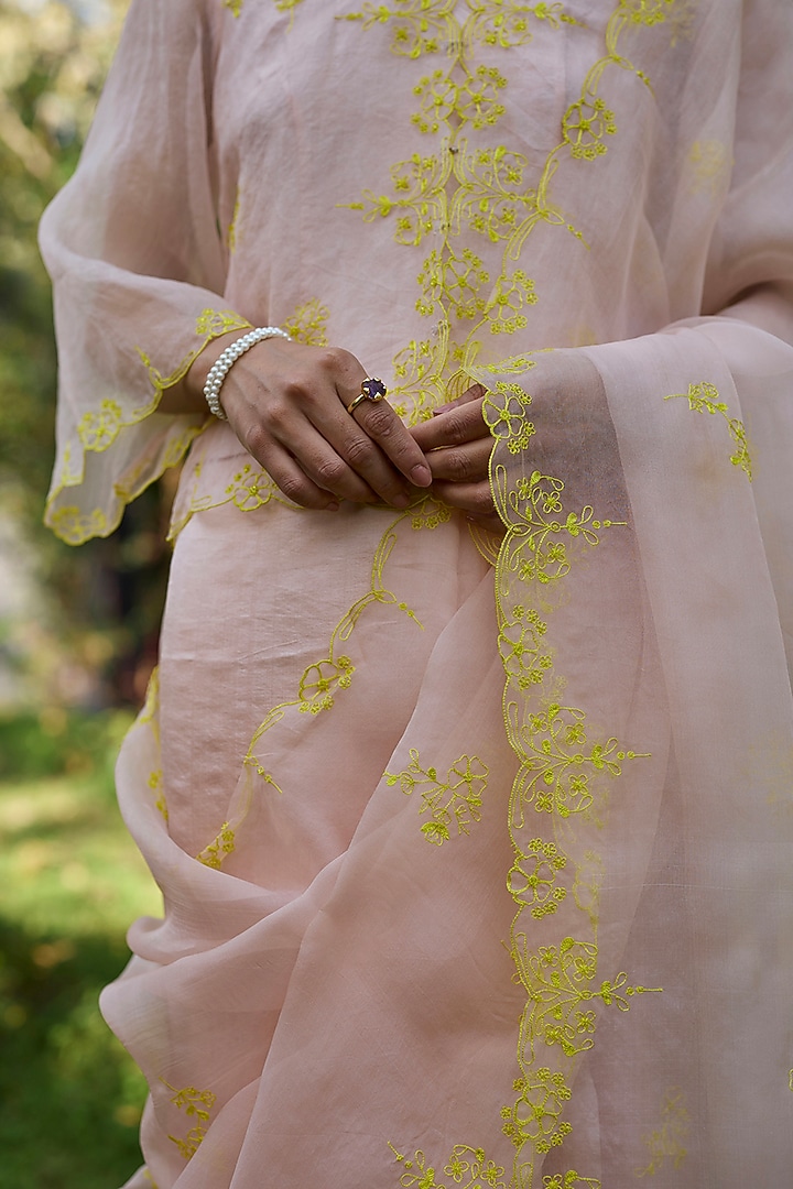 Salmon Pink & Lime Handwoven Organza Silk Hand Embroidered Party Wear Saree by Surmaye at Pernia's Pop Up Shop