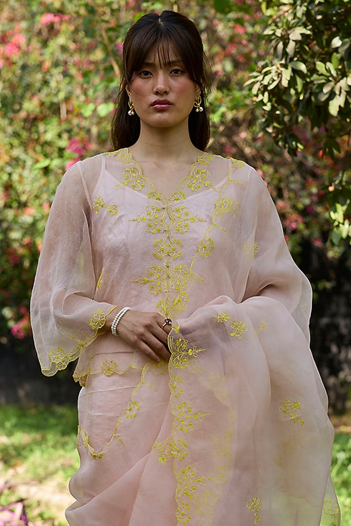 Salmon Pink & Lime Handwoven Organza Silk Hand Embroidered Party Wear Saree by Surmaye at Pernia's Pop Up Shop