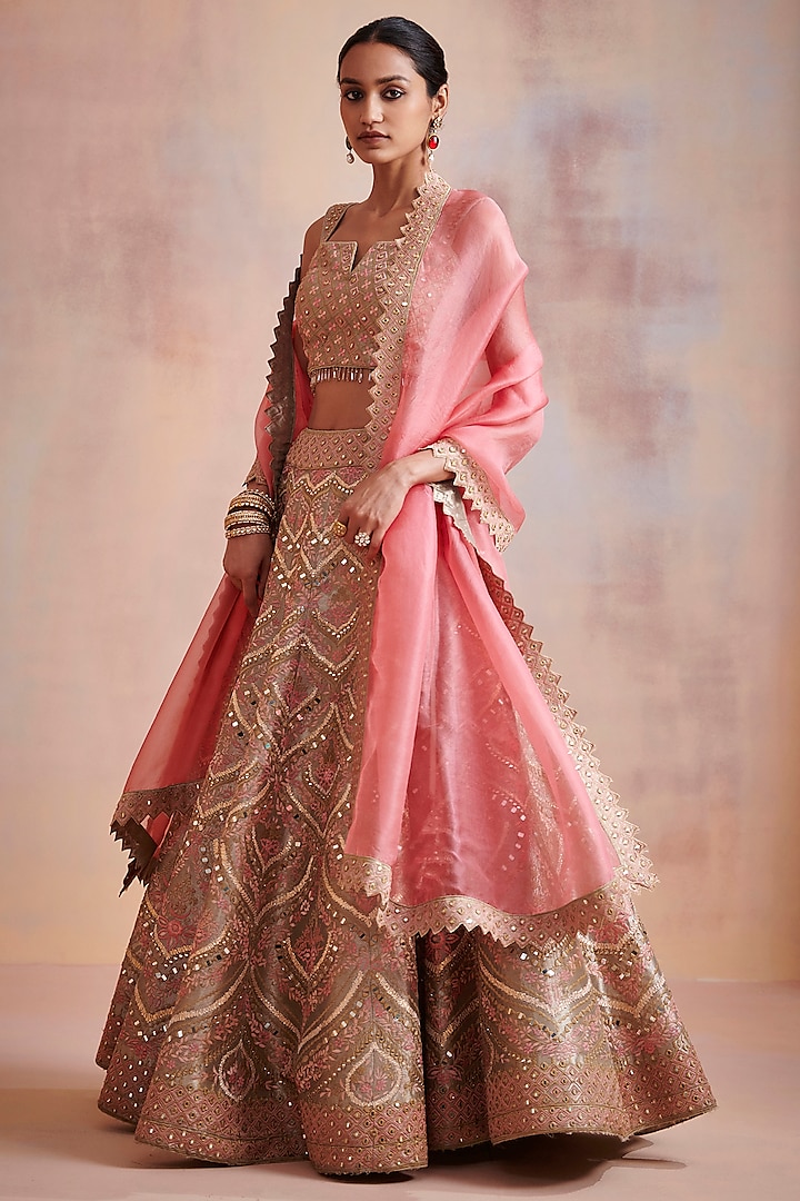 Mouse-Colored Embroidered Lehenga Set by Suhino
