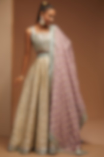 Champagne Banarasi & Slub Silk Embroidered Wedding Lehenga Set by Suhino at Pernia's Pop Up Shop